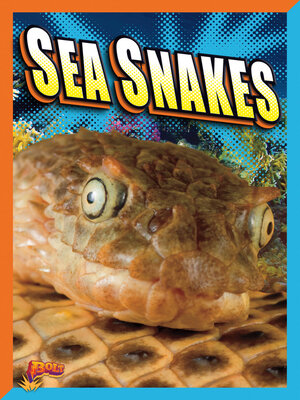 cover image of Sea Snakes